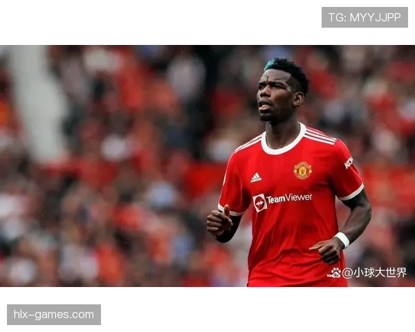 博格巴风格分析 博格巴风格分析